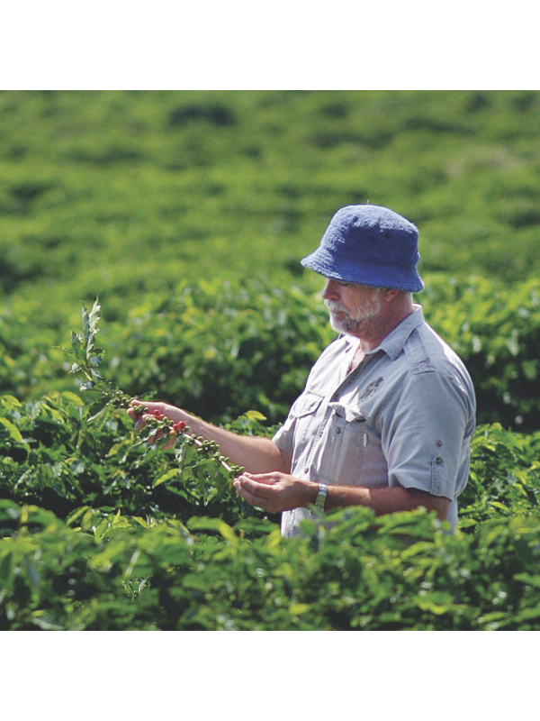 MnedensKaffeAustralienSkyburyrbnner-01