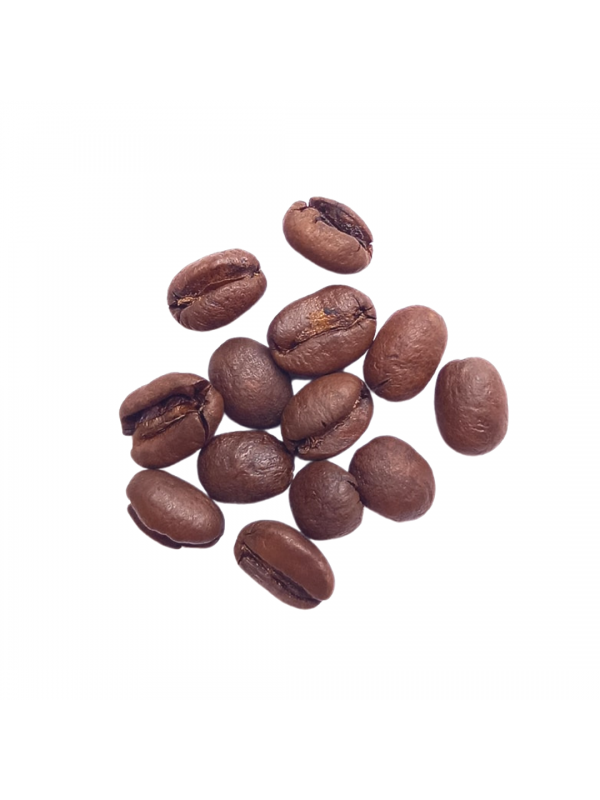 Costa Rica La Pastora SHB, ristet