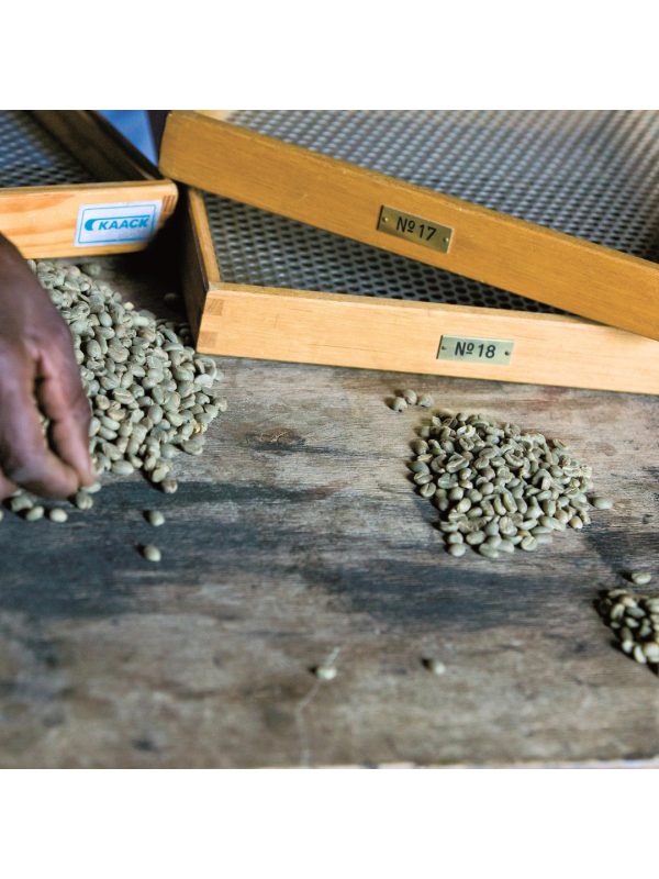 MnedensKaffeNicaraguaLagunaVerderistet-01