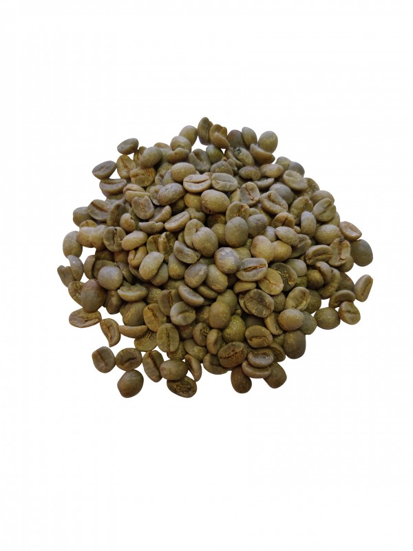 BrasilienSantosSuldeMinasNY23SCN1718rbnner-01